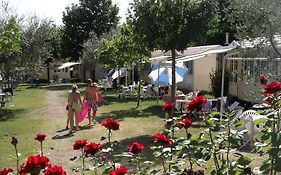 Blu International Camping