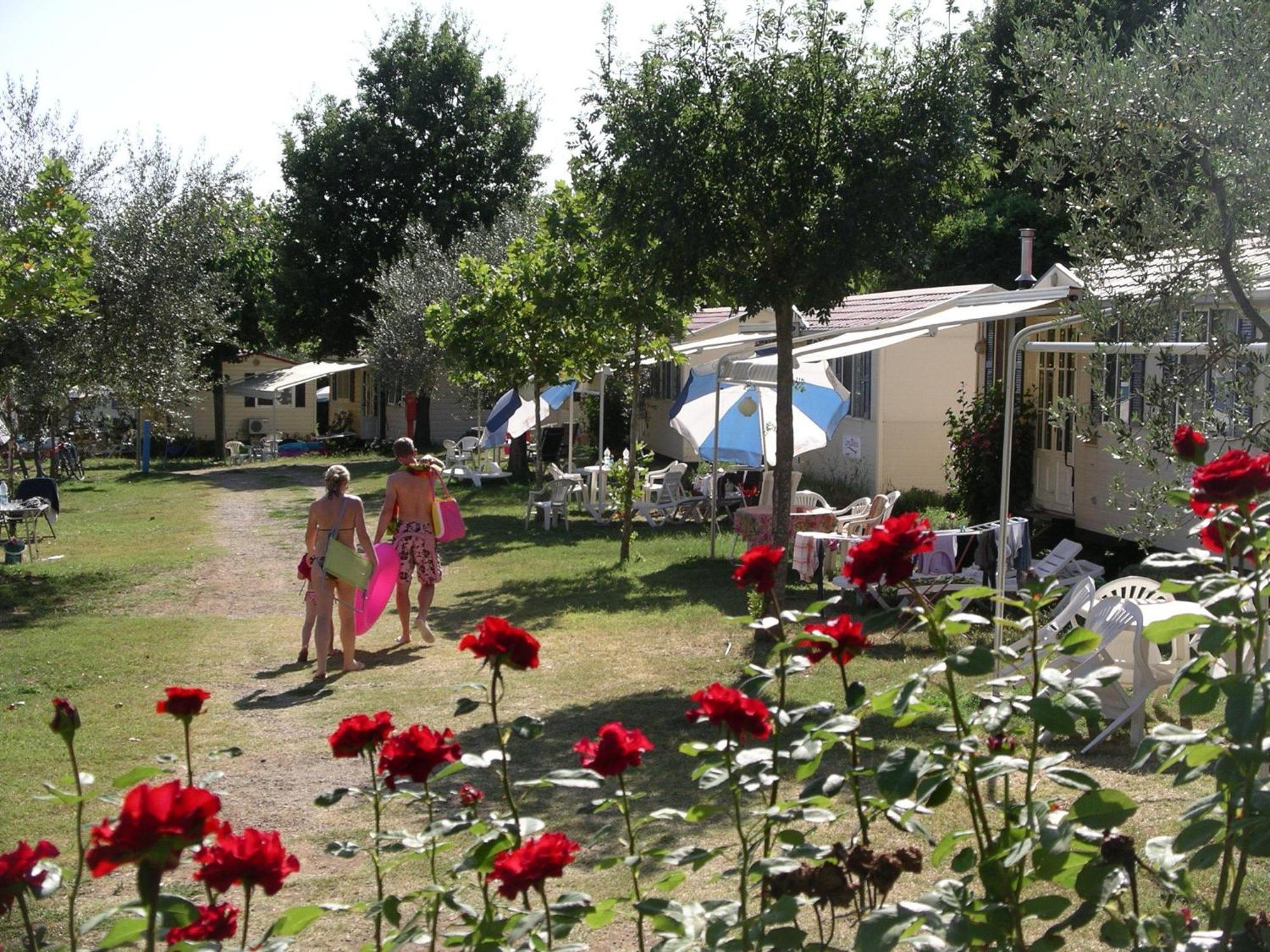 Blu International Camping Bolsena Extérieur photo